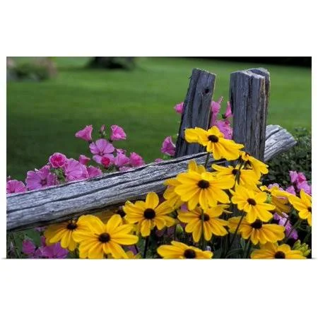 Great Big Canvas, Pink and Yellow Flowers Art Print - 48x32, Size: 48 x 32