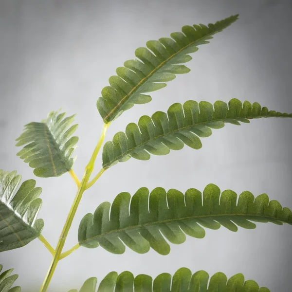 Sullivans Artificial Potted Fern 37x22H Green