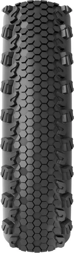 Vittoria Terreno Dry G2.0 Tire