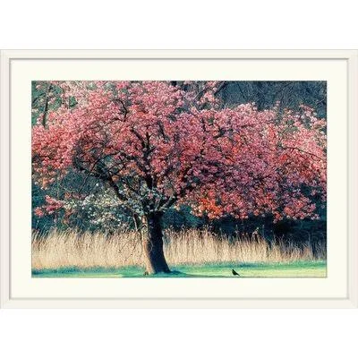 Anjelique Me and My Tree& Lars Van De Goor Photographic Print Winston Porter Format: White Frame, Size: 28x22 H x 38x22 W x 1x22