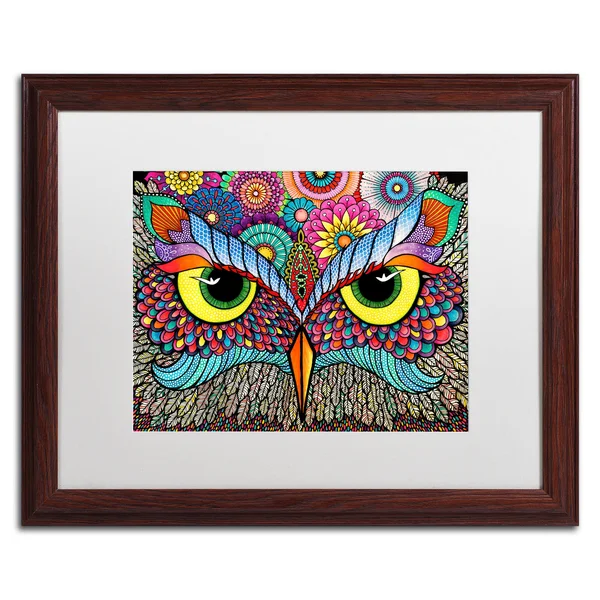 Trademark Fine Art Owl Face by Hello Angel - White Matte, Wood Frame 16x20-Inch, Assorted