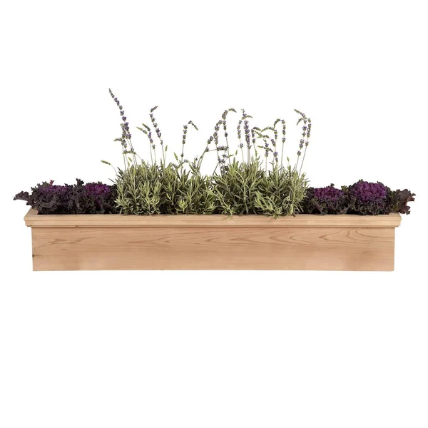 48in. Newport Cedar Window Box