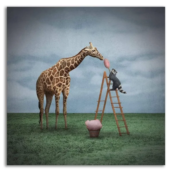 Tangletown Fine Art 24x22 x 24x22 Cotton Candy by Greg Noblin Print on Canvas