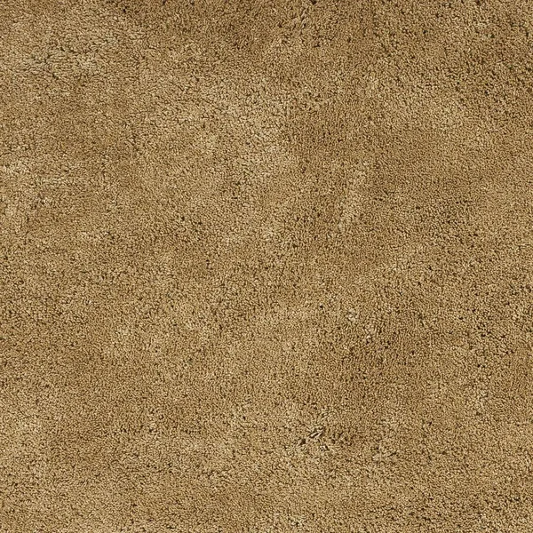 HomeRoots 8& x 11& Polyester Gold Area Rug