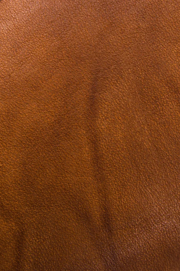 Frye Men's Campus 14L Saddle - 9