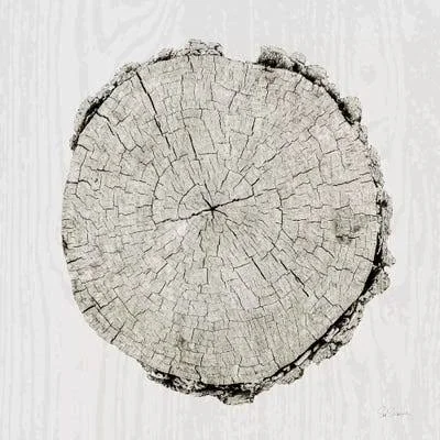 Framed Canvas Art - Woodland Years II by Sue Schlabach ( scenic & landscapes > Nature > Nature close-ups > Tree