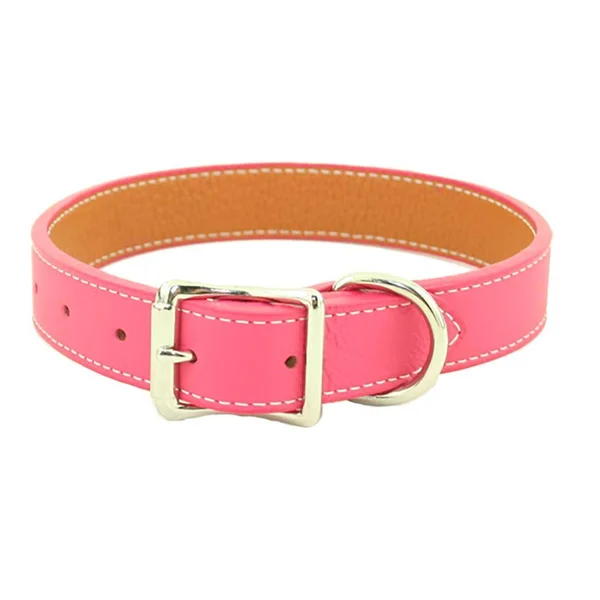 Auburn Leathercrafters Tuscany Dog Collar-Yellow-14x22-18x22