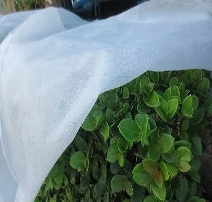 Agfabric Roll Heavy Floating Row Cover and Plant Blanket 0.9oz Fabric of 10x100ft for Frost Protection Seed GerminationSeason Ex