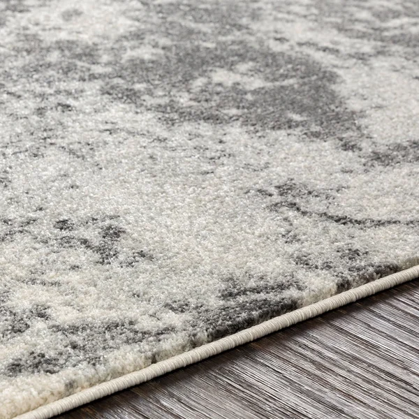 Surya Aberdine ABE-8013 9&3x22 x 12&3x22 Area Rug