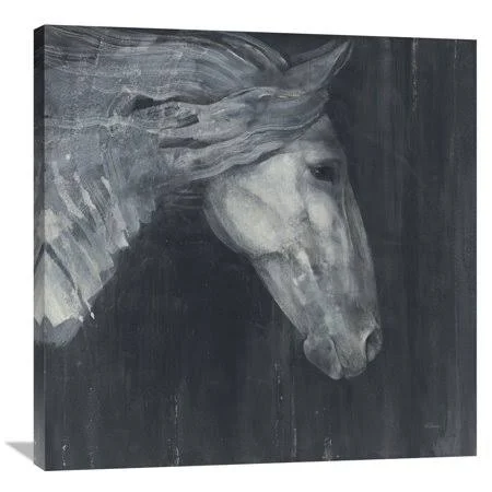 Global Gallery Albena Hristova 'Midnight' Canvas Wall Art, Size: 36 x 36