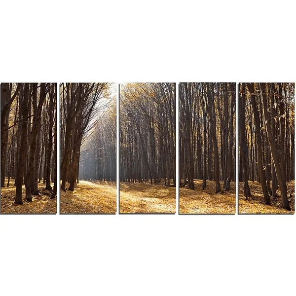 Design Art 'Light in The Forest Path Panorama' 5 Piece Photographic Print on Wrapped Canvas Set - Brown