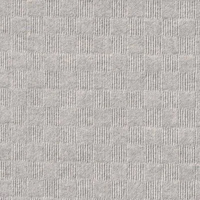 24 x 24 Premium Self-Stick Carpet Tile Albero Valley Color: Oatmeal