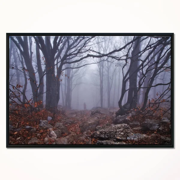Designart 'Dark Foggy Forest in Autumn' Landscape Photography Framed Canvas Print - 20 in. Wide x 12 in. High - Black