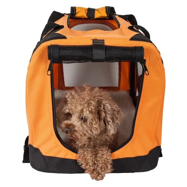 Pet Life 360-Degree Vista View Soft Side Pet Crate - L, 32&&