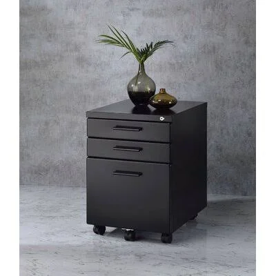 Acme Peden File Cabinet Inbox Zero Color: Black