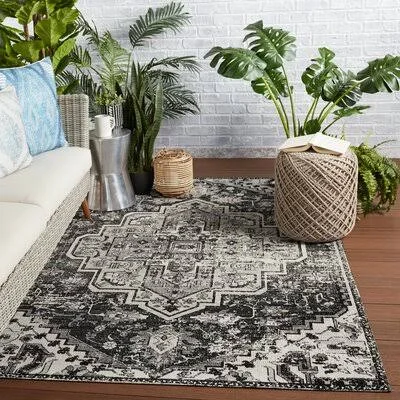 Pocahontas Black/Gray Indoor - Outdoor Area Rug Langley Street Rug Size: Rectangle 4' x 6'