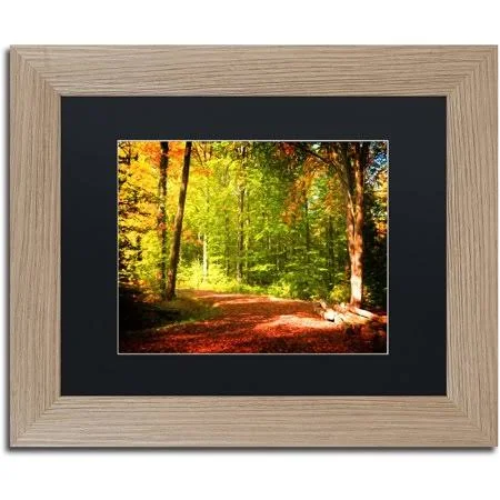 Trademark Fine Art &Breaking The Fall Silence& by Philippe Sainte-Laudy Framed Graphic Art - Mat Color: Black - Size: 11x22 H x 1