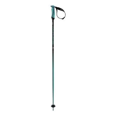 V鰈kl Phantastick 16 mm Ski Poles Green Black (Pair) - 130