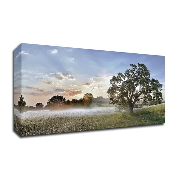 Sonoma Oak #3 by Alan Blaustein - Print on Canvas, 36x22 x 18x22