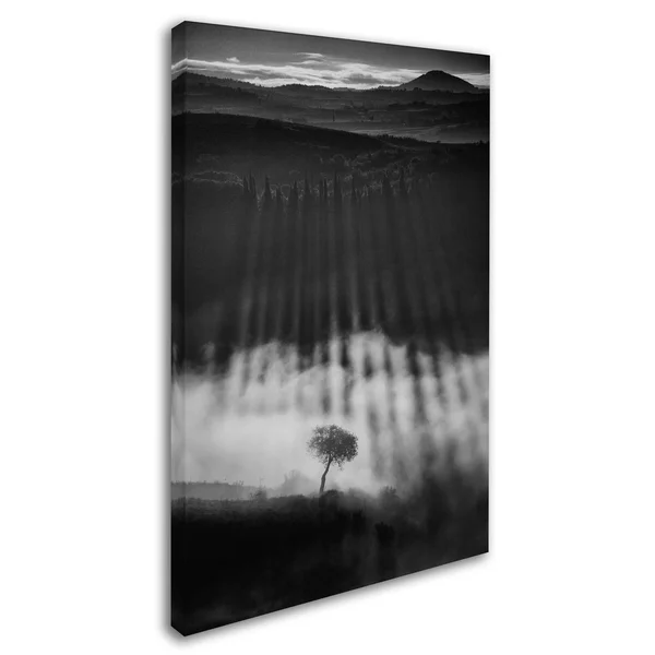 Trademark Fine Art 1X04118-C3047Gg Peter Svoboda 'Rising Up' Canvas AR