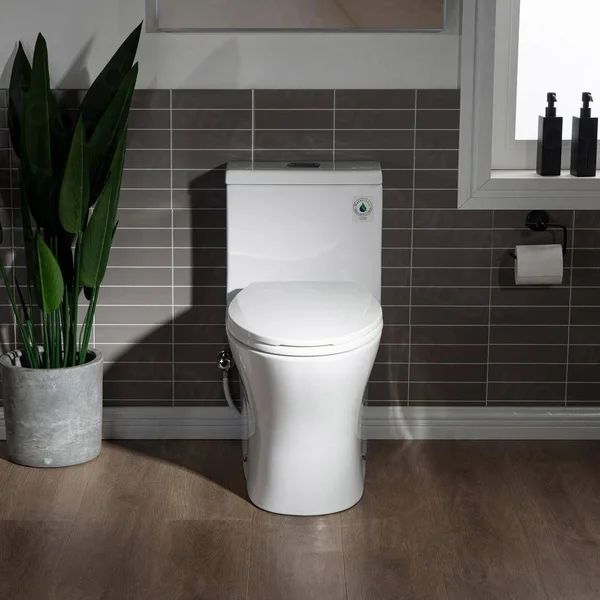 Woodbridge Modern Design, Elongated One Piece Toilet Dual Flush 1.0/1.6 Gpf, with Soft Closing Seat, White, T-0032