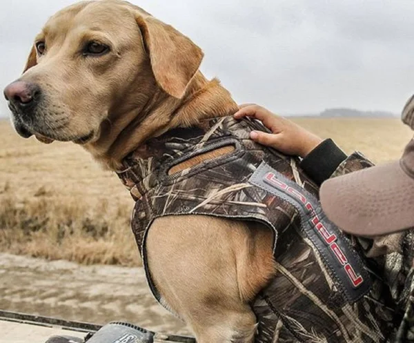 Banded 5mm Dog Parka - Bottomland (Large)