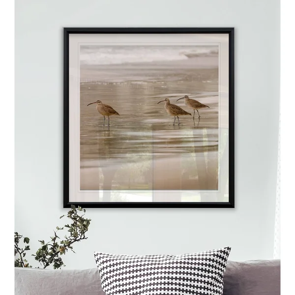 Shore Birds I -Framed Giclee Print - 28x28