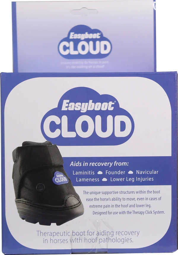 Easyboot Cloud - 4