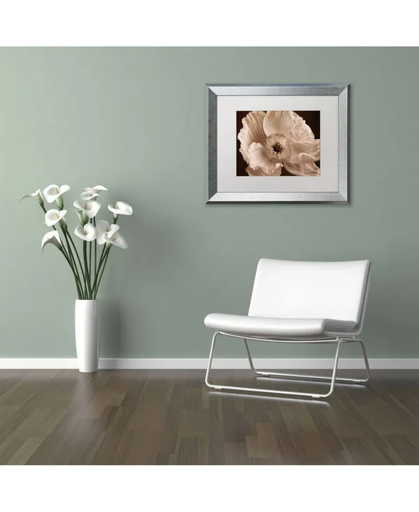 Trademark Art Sepia Poppy I by Cora Niele Framed Photographic Print Size: 16x22 H x 20x22 W x 0.5x22 D, Frame Color: Silver