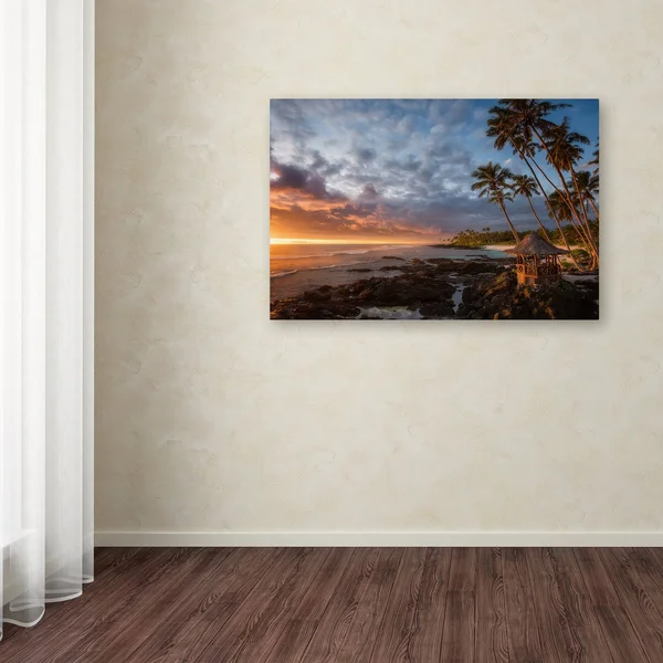 Trademark Fine Art Richard Vandewalle &Return to Paradise& Canvas Art 16x22 x 24x22 Multi-Color