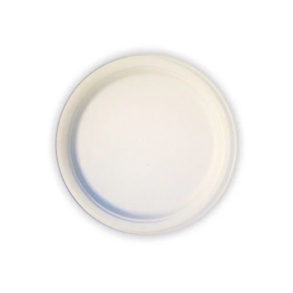 Green Earth - Natural Bagasse (Sugarcane Fiber) Tree Free 10x22 Paper Plate - Biodegradable, Compostable (500 Counts Disposable