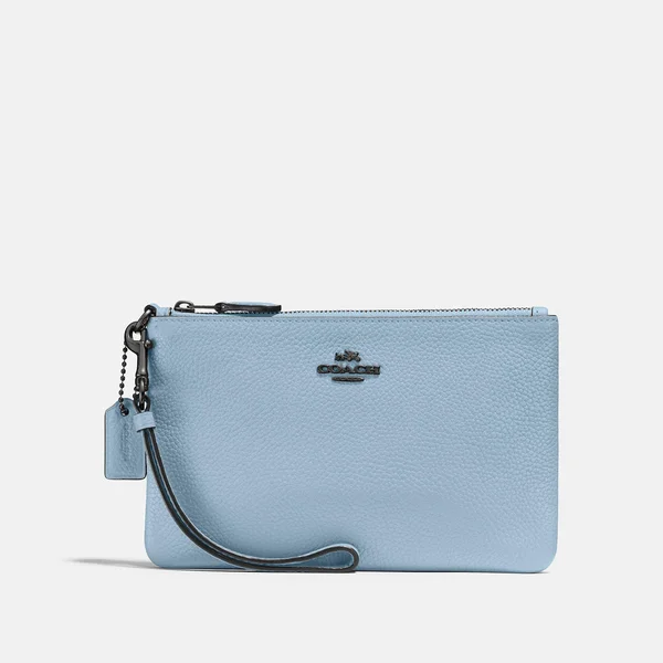 Coach Women's Small Wristlet - V5/Waterfall