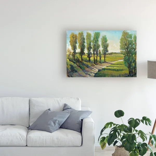 Trademark Fine Art 'Lush Landscape I' Canvas Art by Tim OToole, Size: 30 x 47