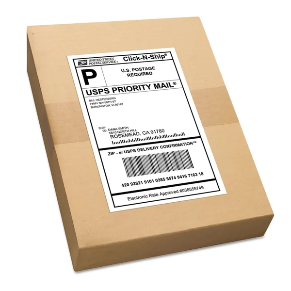 Avery TrueBlock Shipping labels - 5.5x22 x 8.5