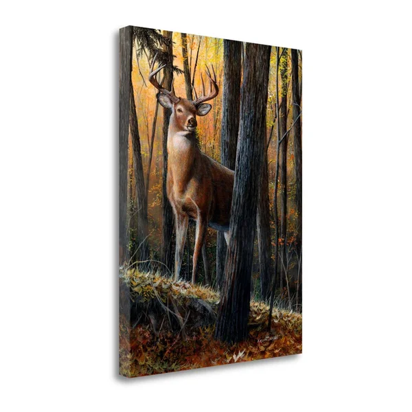 Tangletown Fine Art Autumn Monarch Canvas Wall Art by Kevin Daniel