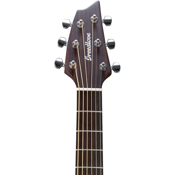 Breedlove Discovery Concert CE Natural