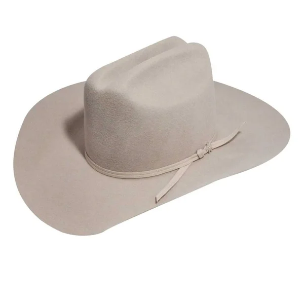 Renegade by Bailey Western Boys& Colt, Size: 6 3/8, Silver