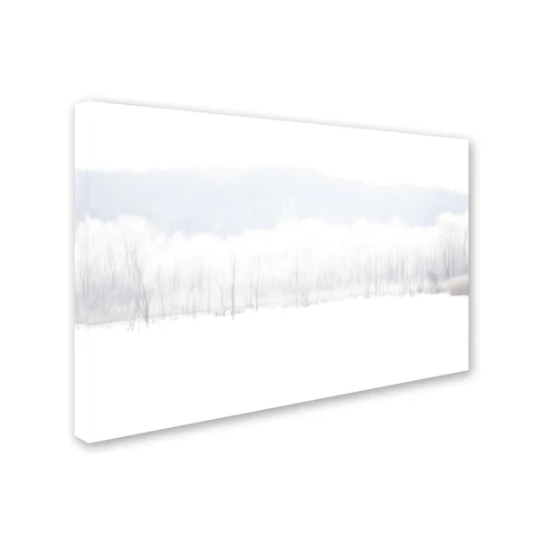 Trademark Fine Art Kurt Shaffer Abstract Winter Beaver Marsh Canvas Wall Art
