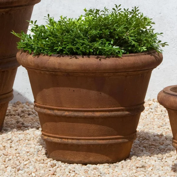 Campania International Classic Rolled Rim Cast Stone Planter - 14.75 in. Lead Antique