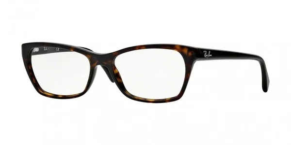 Ray-Ban Rx RX5298 Eyeglasses - Shiny Black