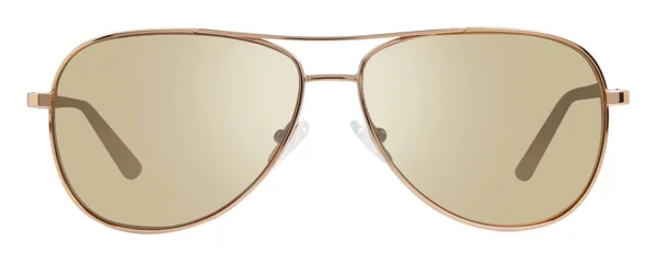 Revo Womens Polarized Sunglasses RELAY Aviator Frame