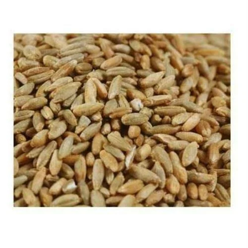Grains Rye Berries - 25 lb bag