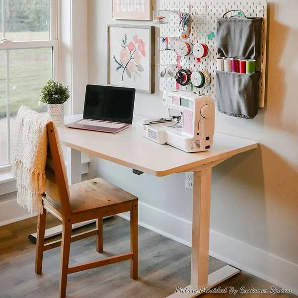 FlexiSpot EC1 Electric White Standing Desk Adjustable Height Desk, 48 x 30 Inches Whole Piece Board Sit Stand Desk Home Office W