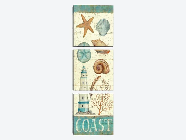 Daphne Brissonnet Canvas Art Prints - Pastel Coast Panel I ( Animal Art > Sea Life > Sand Dollars art)