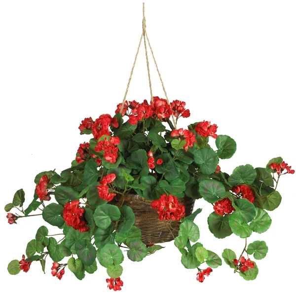 Nearly Natural Caladium Silk Plant