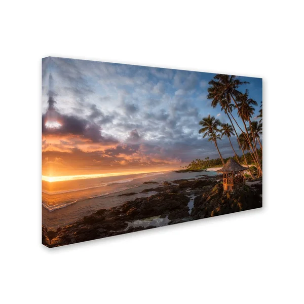 Trademark Fine Art Richard Vandewalle &Return to Paradise& Canvas Art 16x22 x 24x22 Multi-Color