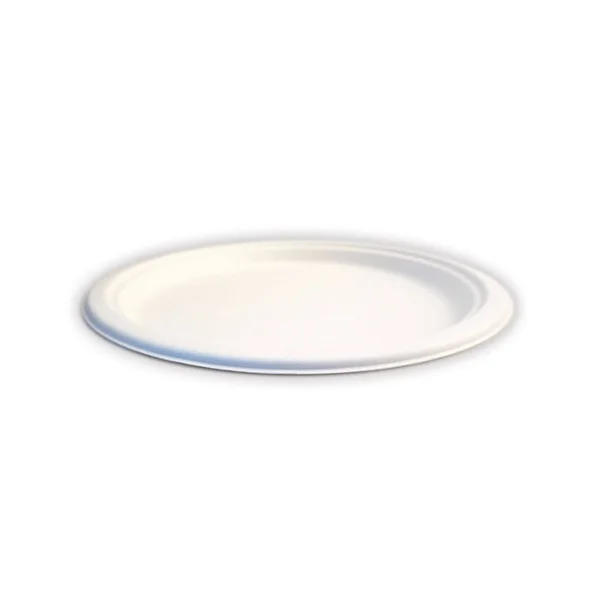 Green Earth - Natural Bagasse (Sugarcane Fiber) Tree Free 10x22 Paper Plate - Biodegradable, Compostable (500 Counts Disposable