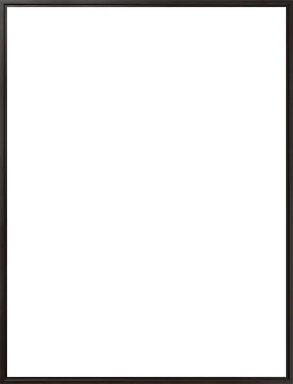 Black Floater Frame 36x22 x 48x22 Museum Frame - 36 x 48