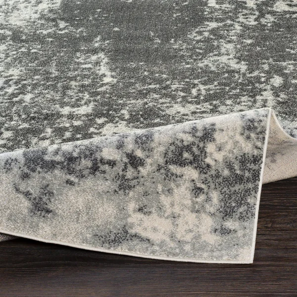 Surya Aberdine ABE-8013 9&3x22 x 12&3x22 Area Rug