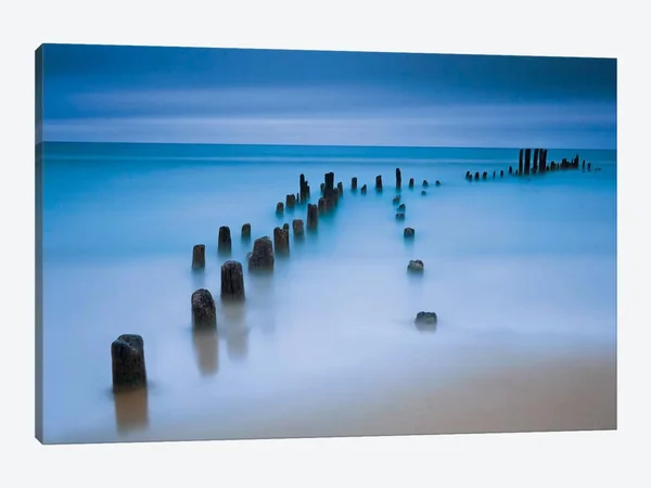 Katherine Gendreau Canvas Wall Decor Prints - Sentinals ( Inspirational & Motivational Wall Art > Calm art)